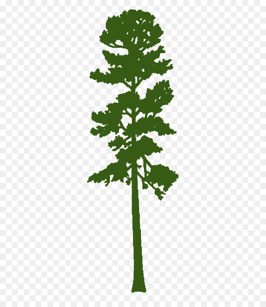 Silueta De Arbol，Negro PNG