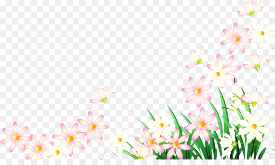 Fondo De Escritorio，Diseño Floral PNG