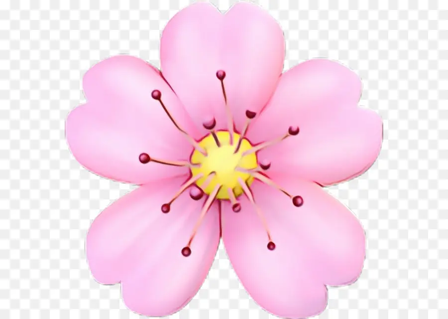 Emoji，Flor PNG