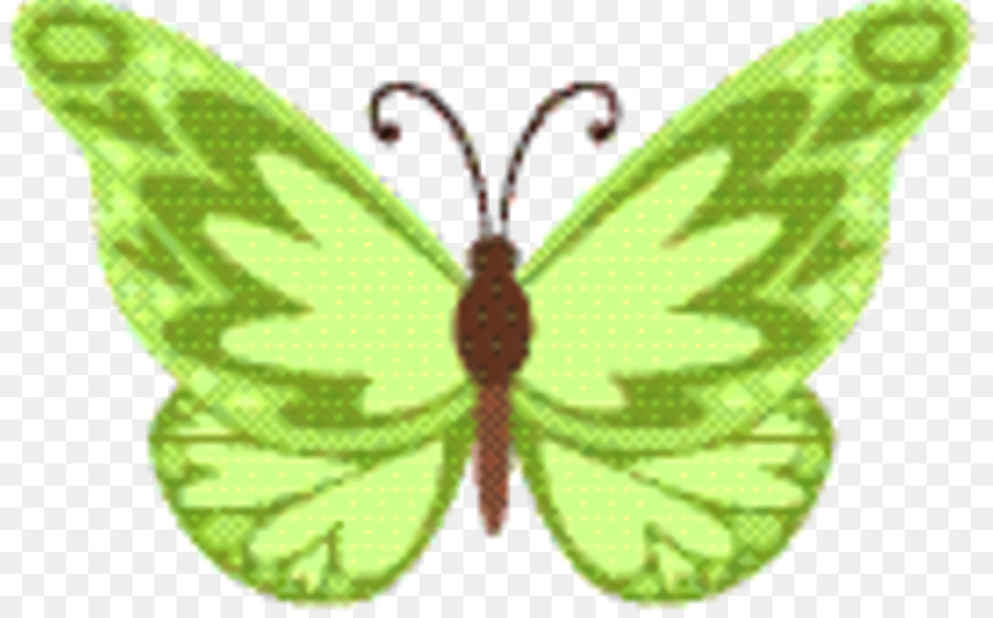 La Mariposa Monarca，Gusano De Seda PNG