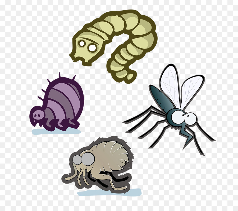 Los Insectos，Parasitismo PNG