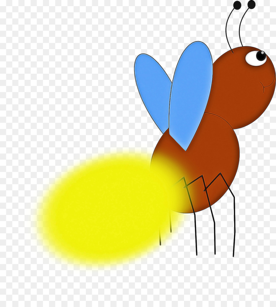 Firefly，Escarabajo PNG