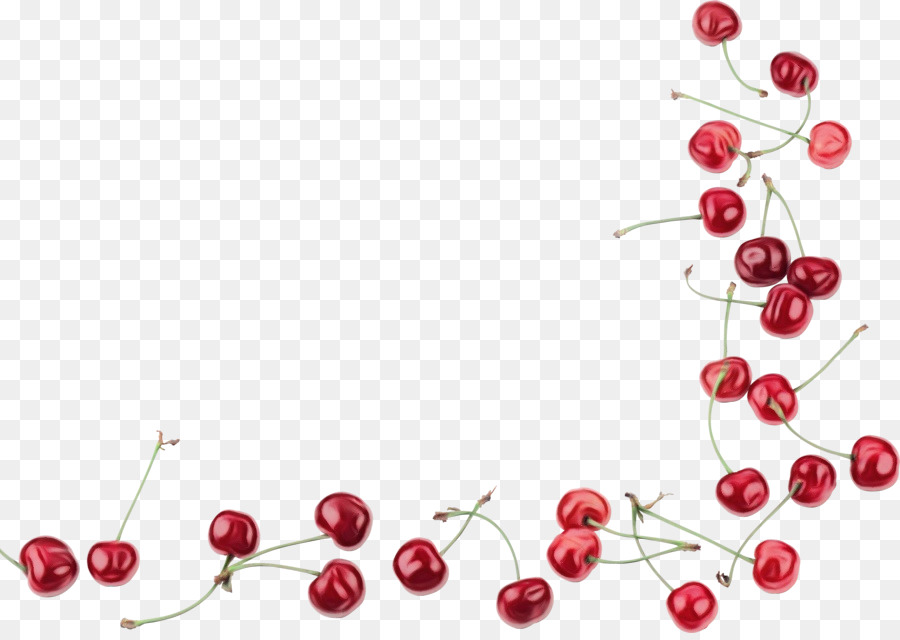 Cerezas Y Corazones，Fruta PNG