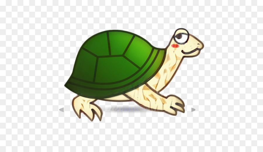 Tortuga，Tortuga Winsko M PNG