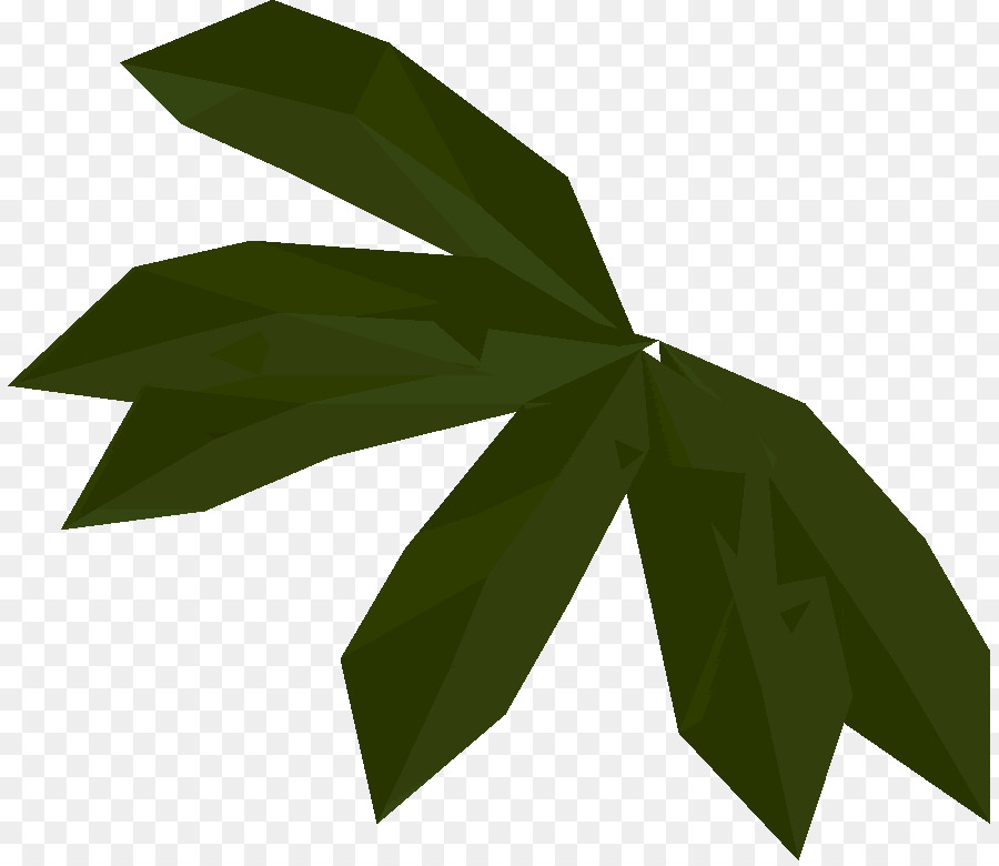 Hojas Verdes，Planta PNG