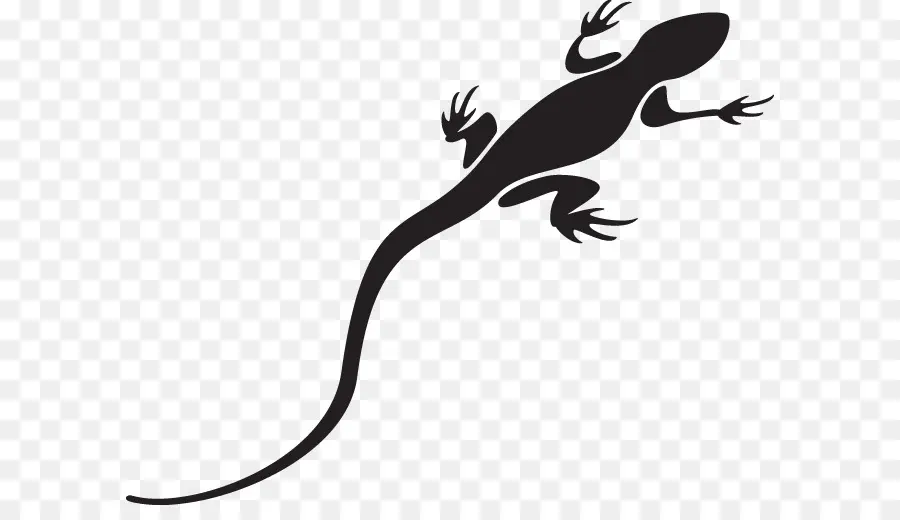 Lagarto，Geco PNG