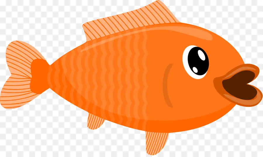 Los Peces，Los Peces óseos PNG