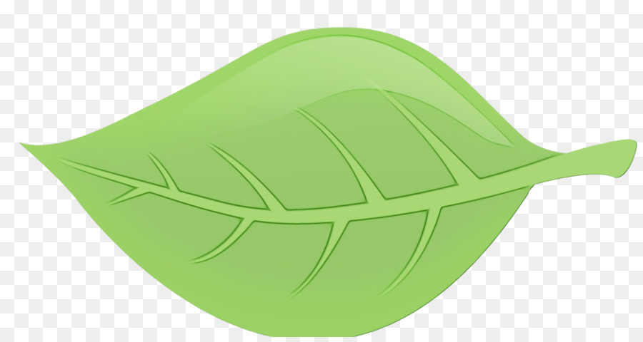 Verde，Hoja PNG