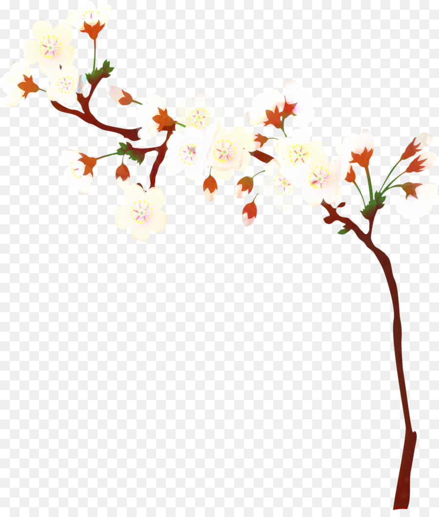 De Los Cerezos En Flor，Diseño Floral PNG