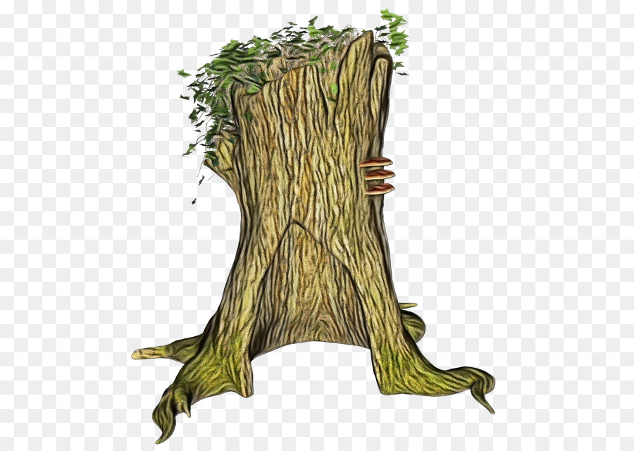 Tronco，Tocón De árbol PNG