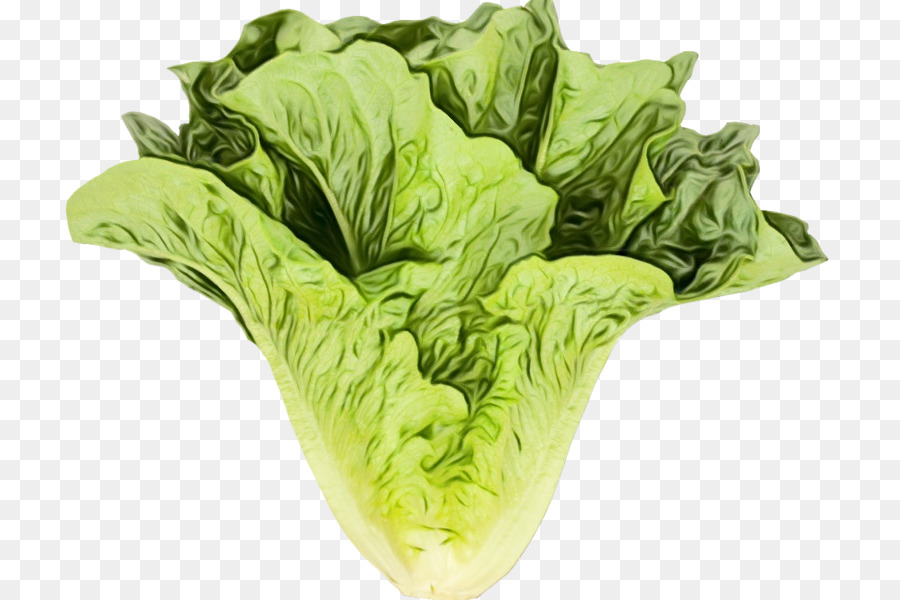 Lechuga，Los Verdes PNG