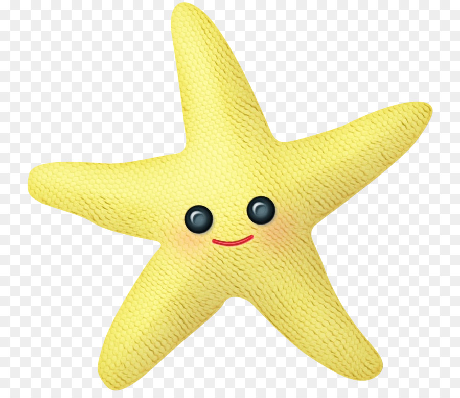 Estrella De Mar，Los Equinodermos PNG