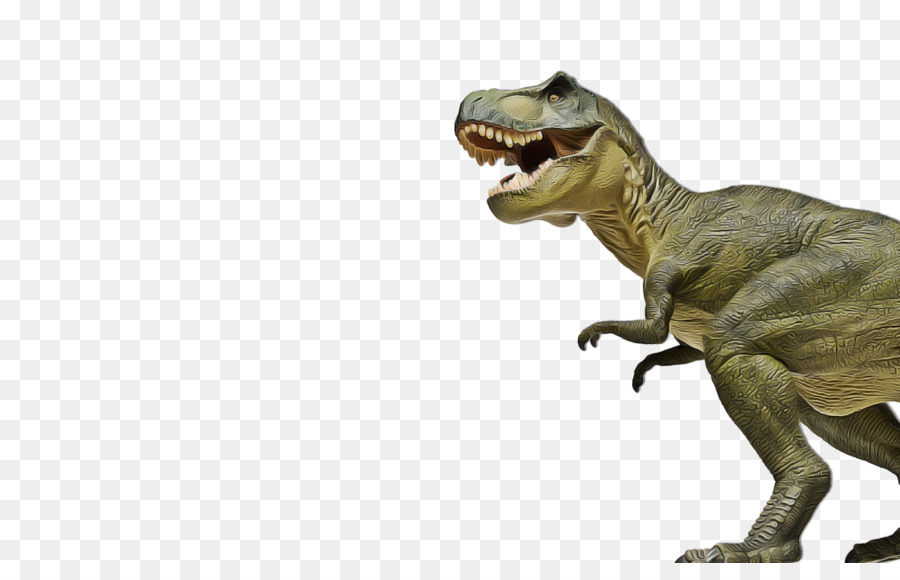 El Tyrannosaurus Rex，Stegosaurus PNG