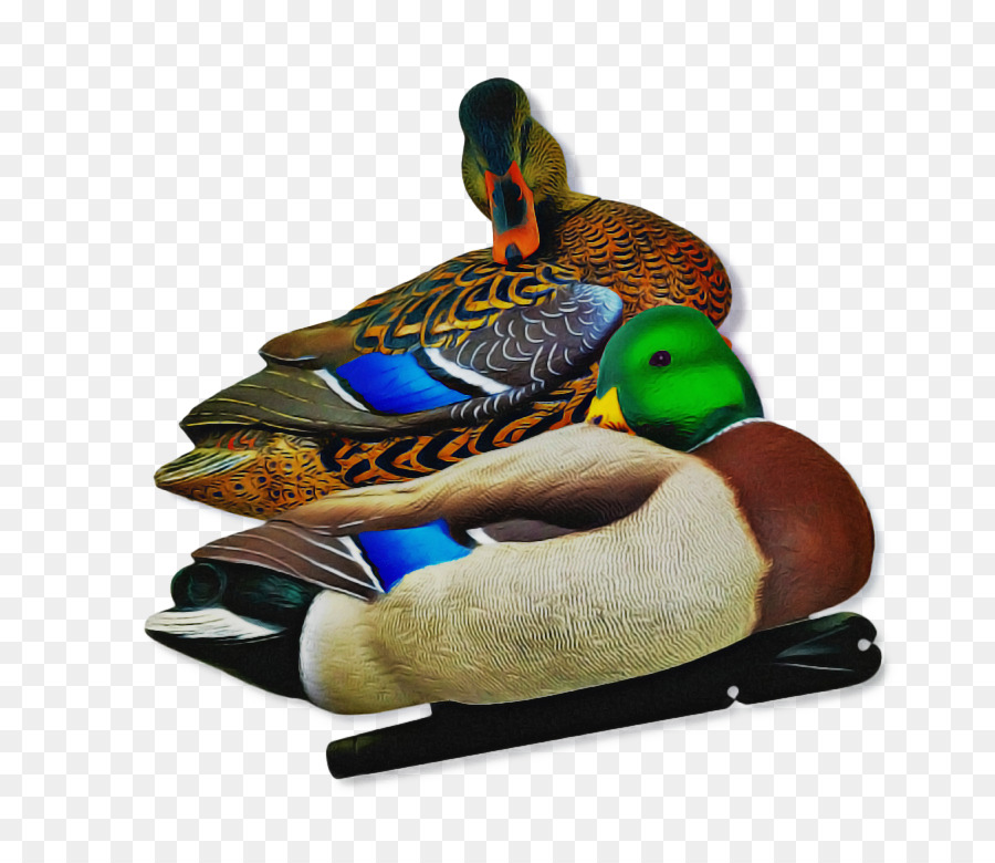 El ánade Real，Pato PNG