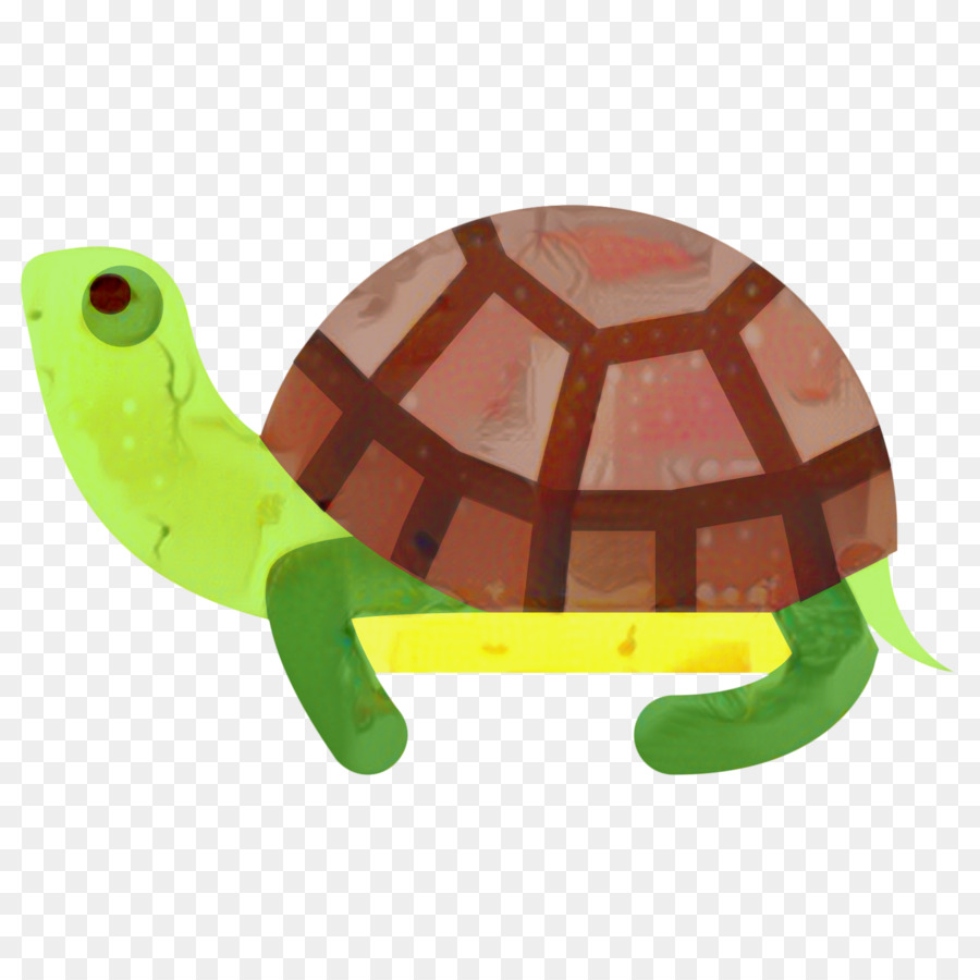 Tortuga，Reptiles PNG