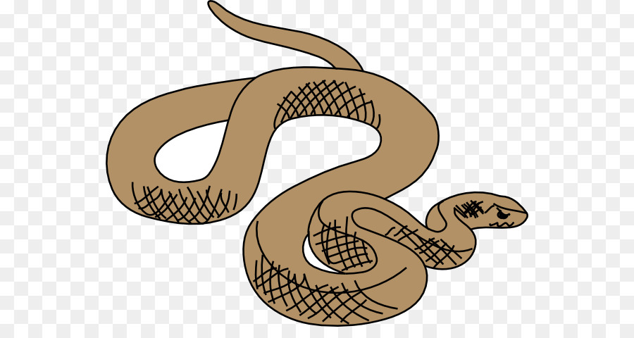 La Serpiente De Cascabel，Las Serpientes PNG