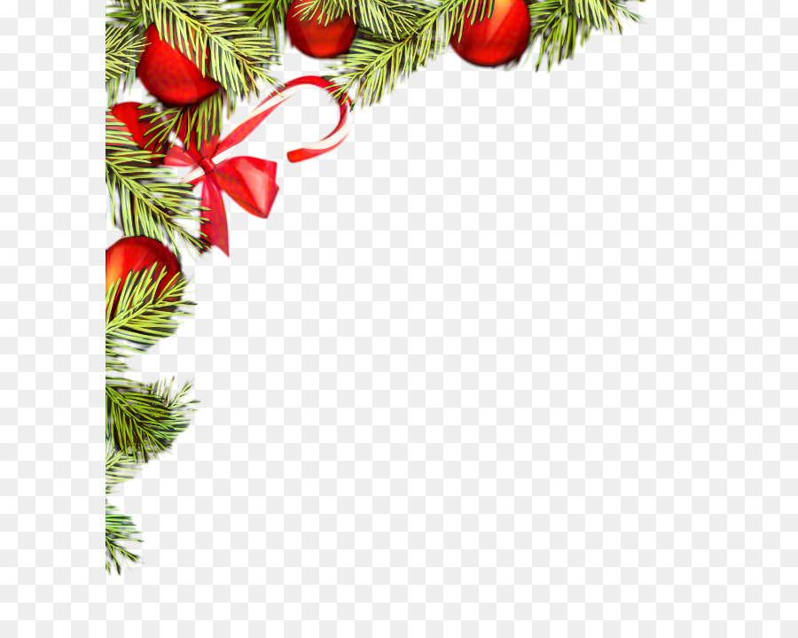 árbol De Navidad，Abeto PNG