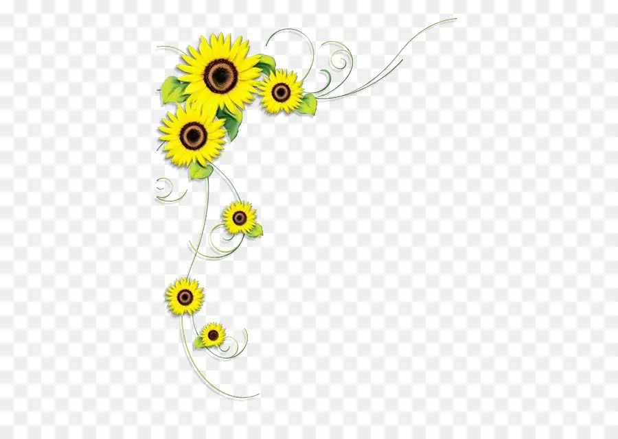 Diseño Floral，Común De Girasol PNG