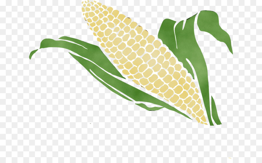 Maíz Dulce，Corncob PNG