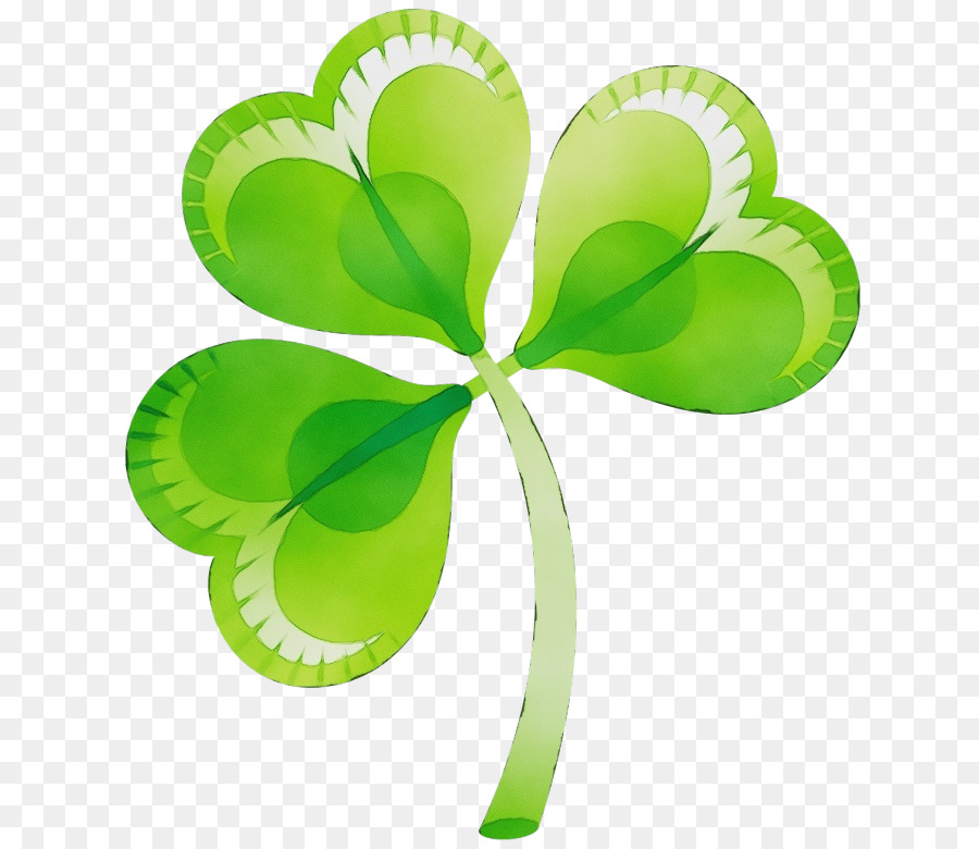 Shamrock，El Día De San Patricio PNG