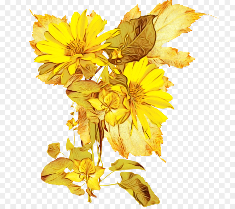 Común De Girasol，Diseño Floral PNG