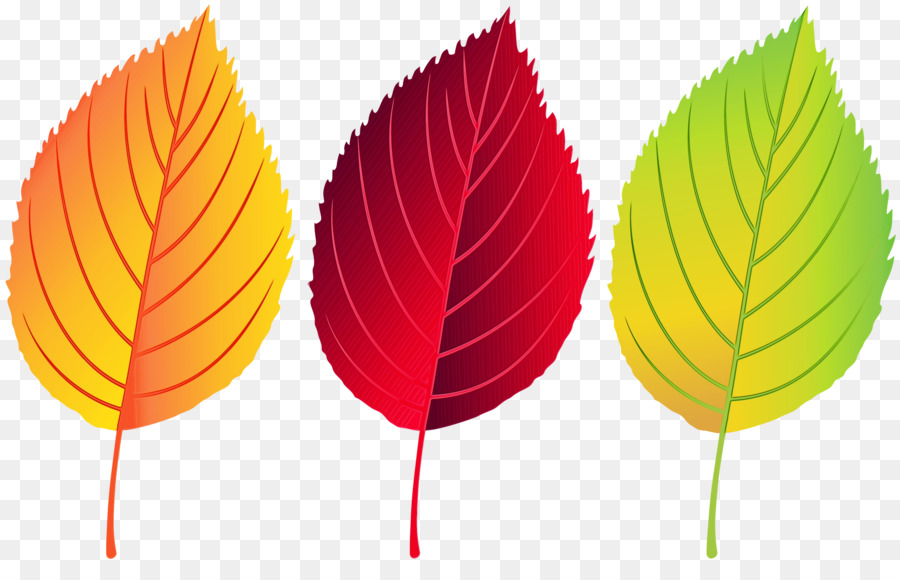 Hojas De Otoño，Caer PNG