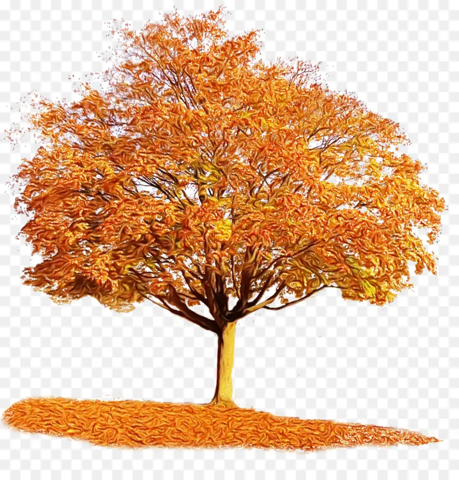 árbol De Otoño，Hojas PNG