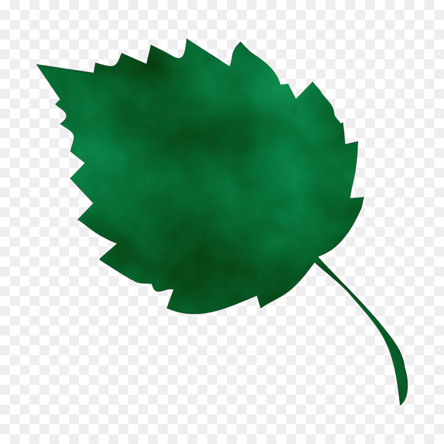 Hoja，Árbol PNG