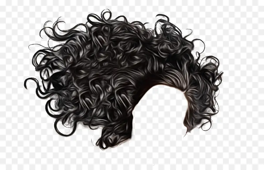 Peluca Rizada，Cabello PNG