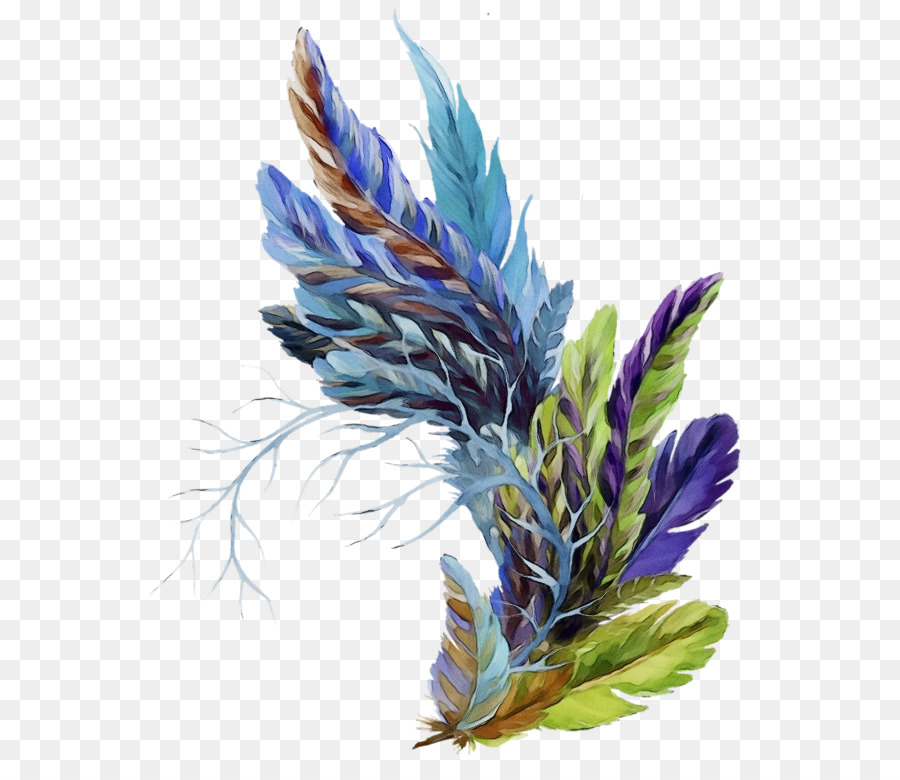 Plumas，Plumaje PNG