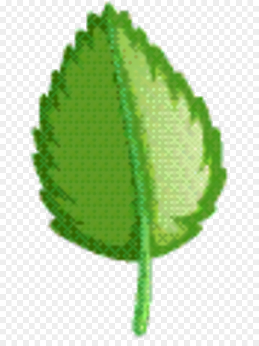 Verde，Hoja PNG