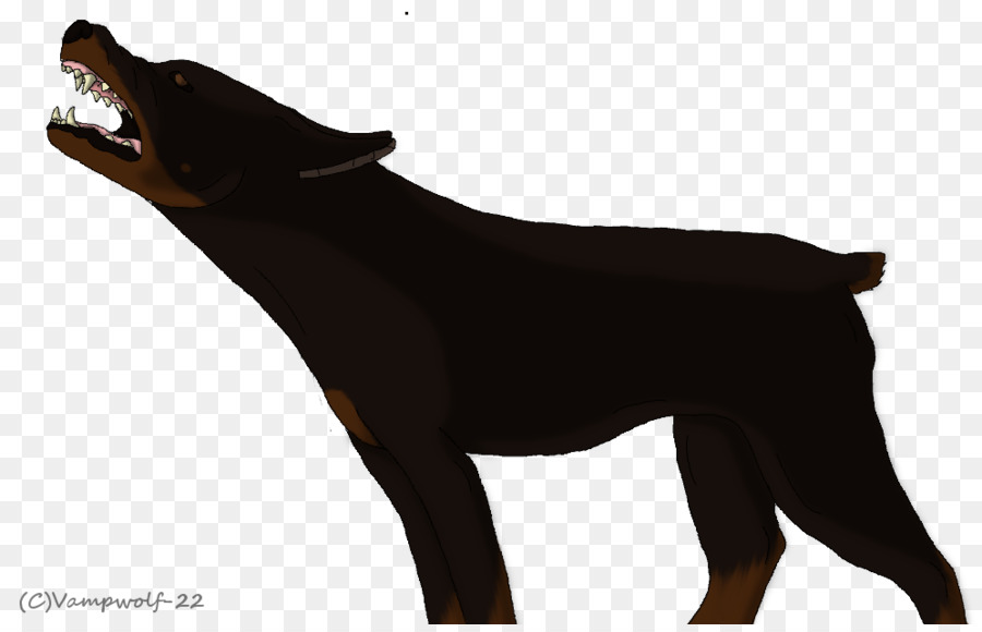 Dobermann，Pinscher Miniatura PNG