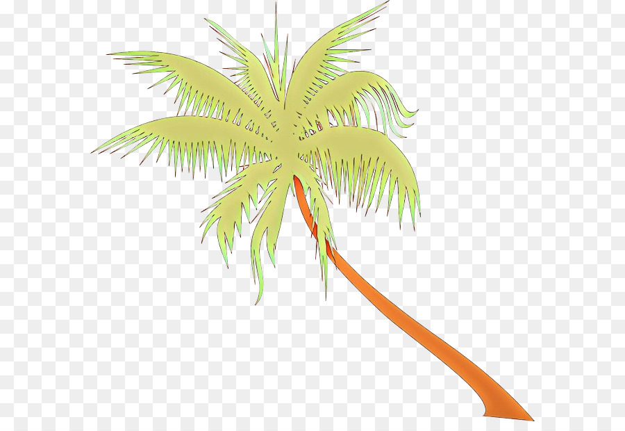 Palmera，árbol PNG