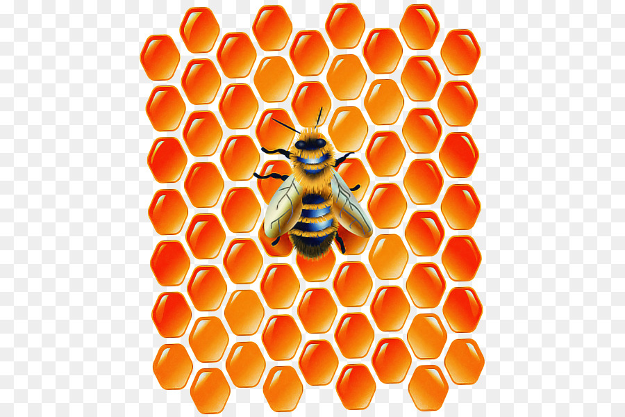 Abeja En Panal，Abeja PNG