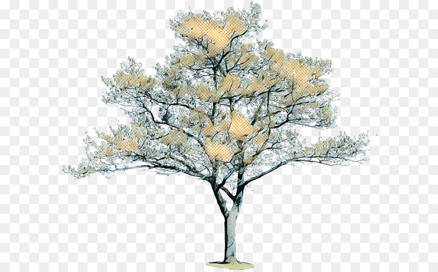 La Ramificación，Árbol PNG