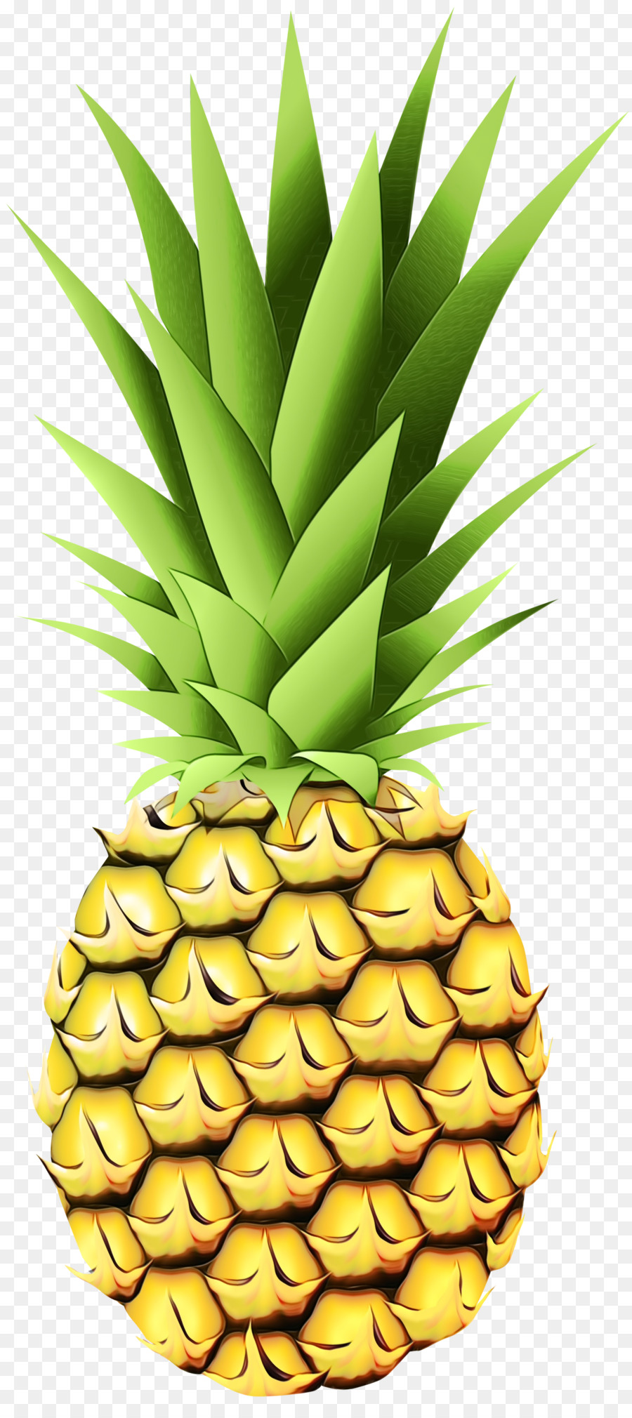 Piña，La Fruta PNG