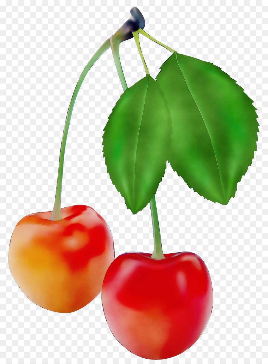 Cerezas Rojas，Hojas PNG