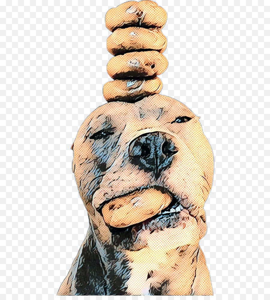 Hocico，Perro PNG