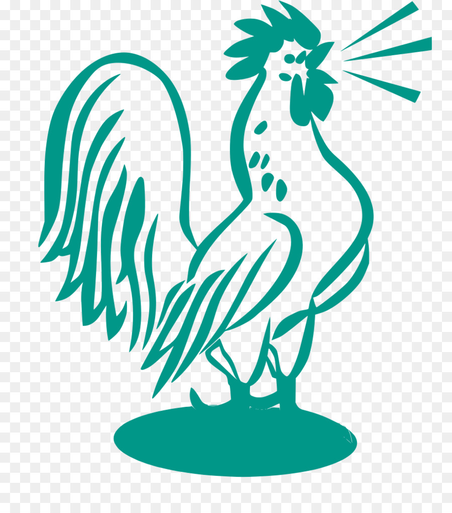 Pollo，Gallo PNG