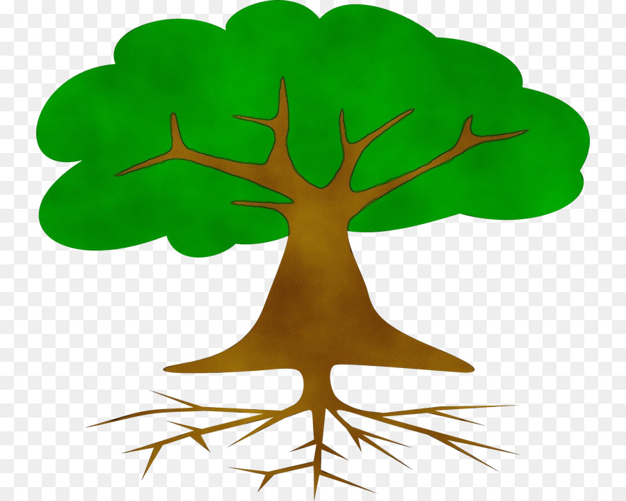 Árbol，Rama PNG