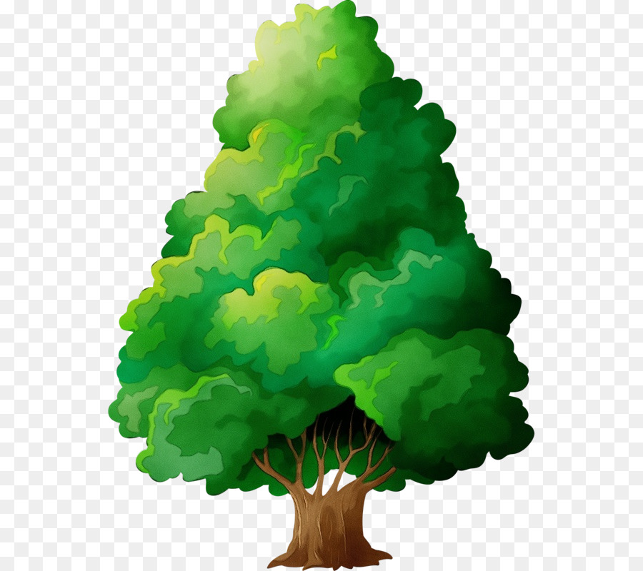 árbol Verde，Bosque PNG