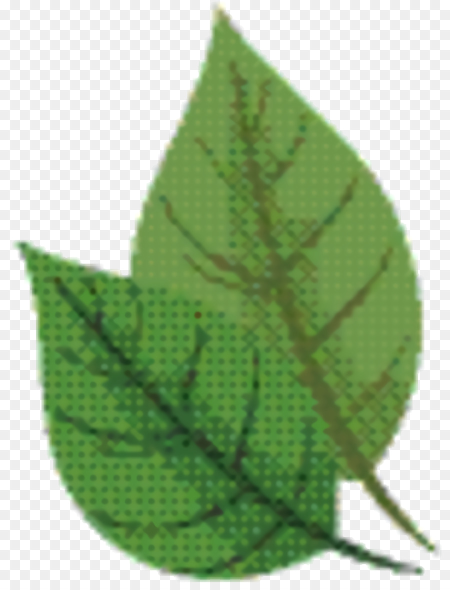 Hoja，Árbol PNG