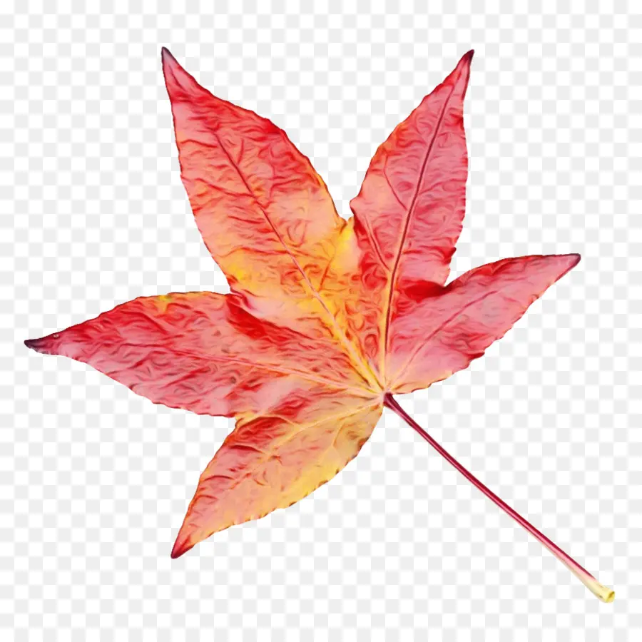 Otoño，Hoja PNG