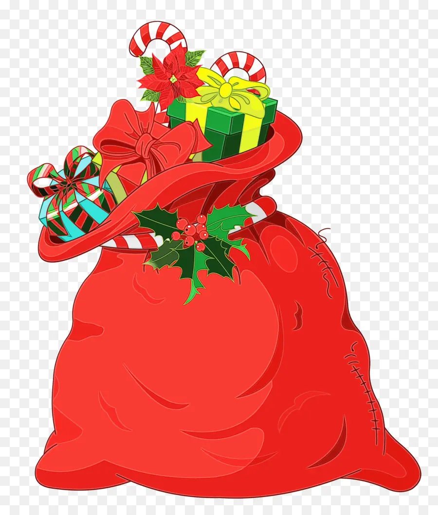 La Señora Claus，Una Fotografía De Stock PNG