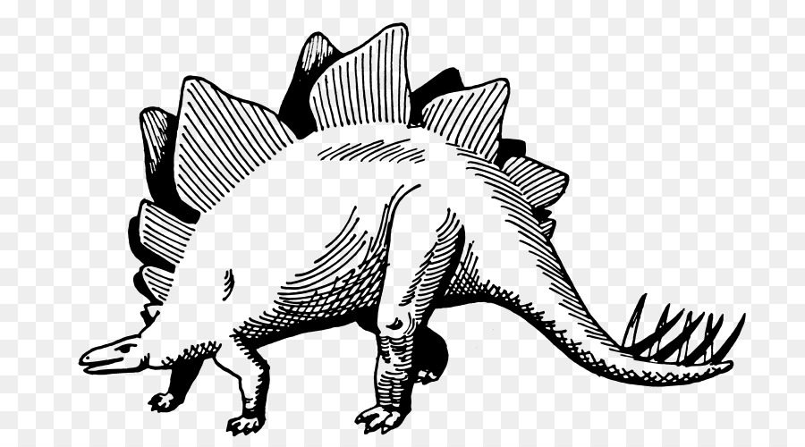 Stegosaurus，Triceratops PNG