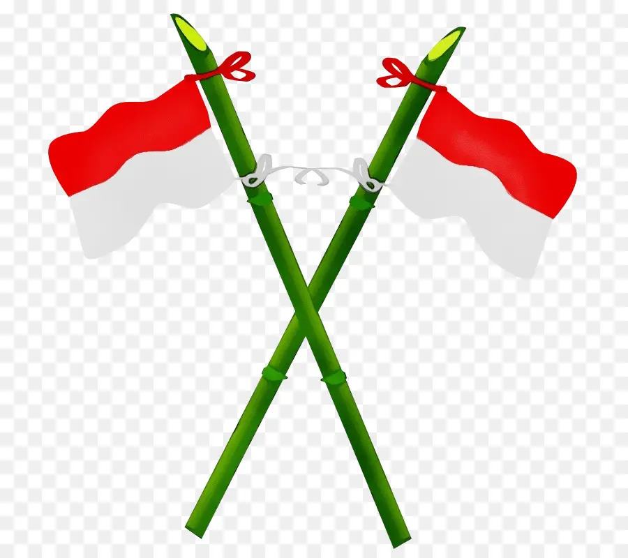 Bandera De Indonesia，Bandera PNG