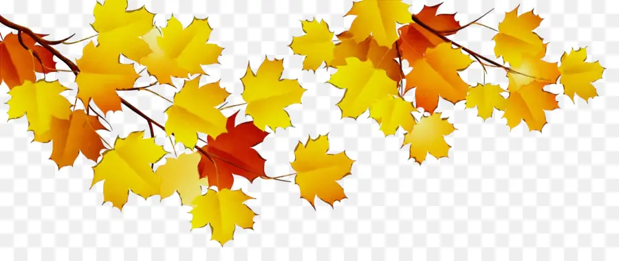 Otoño，Fondo De Escritorio PNG