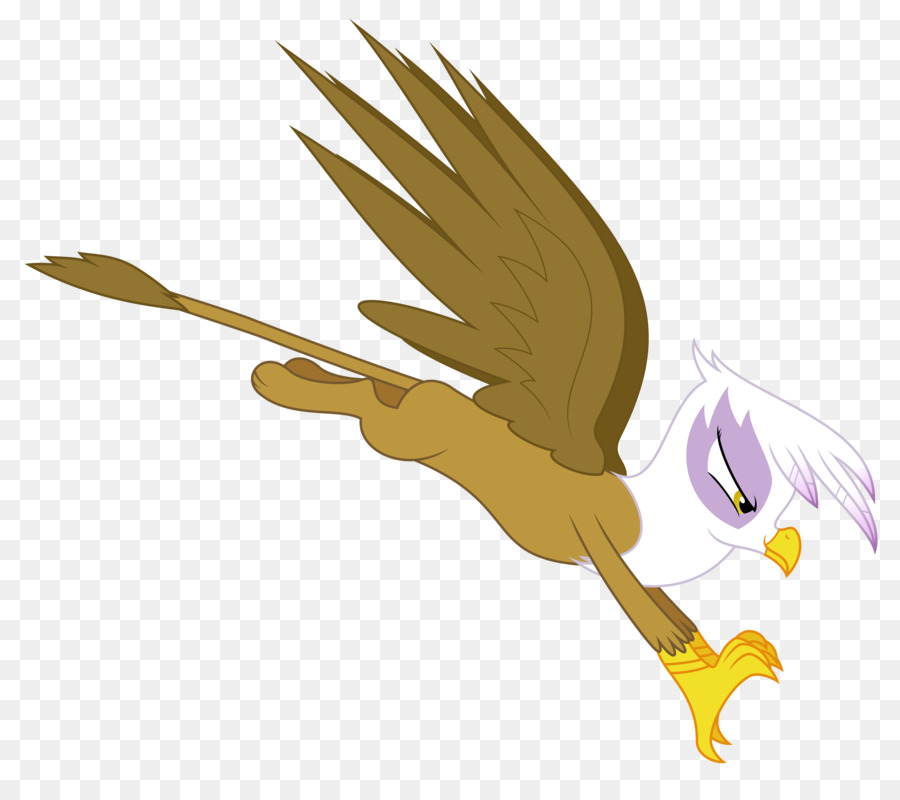 Pico，Aves PNG