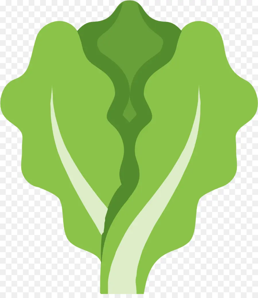 Lechuga，Verde PNG