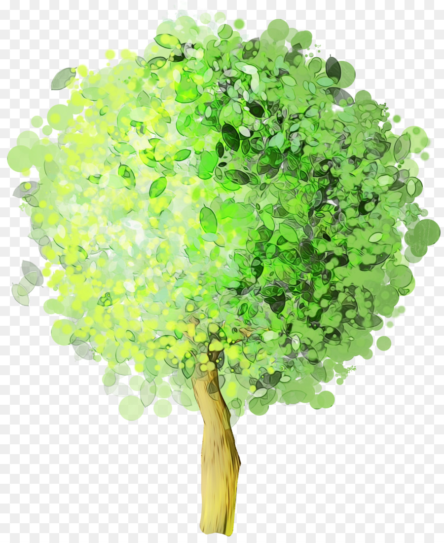 Los Verdes，Árbol PNG